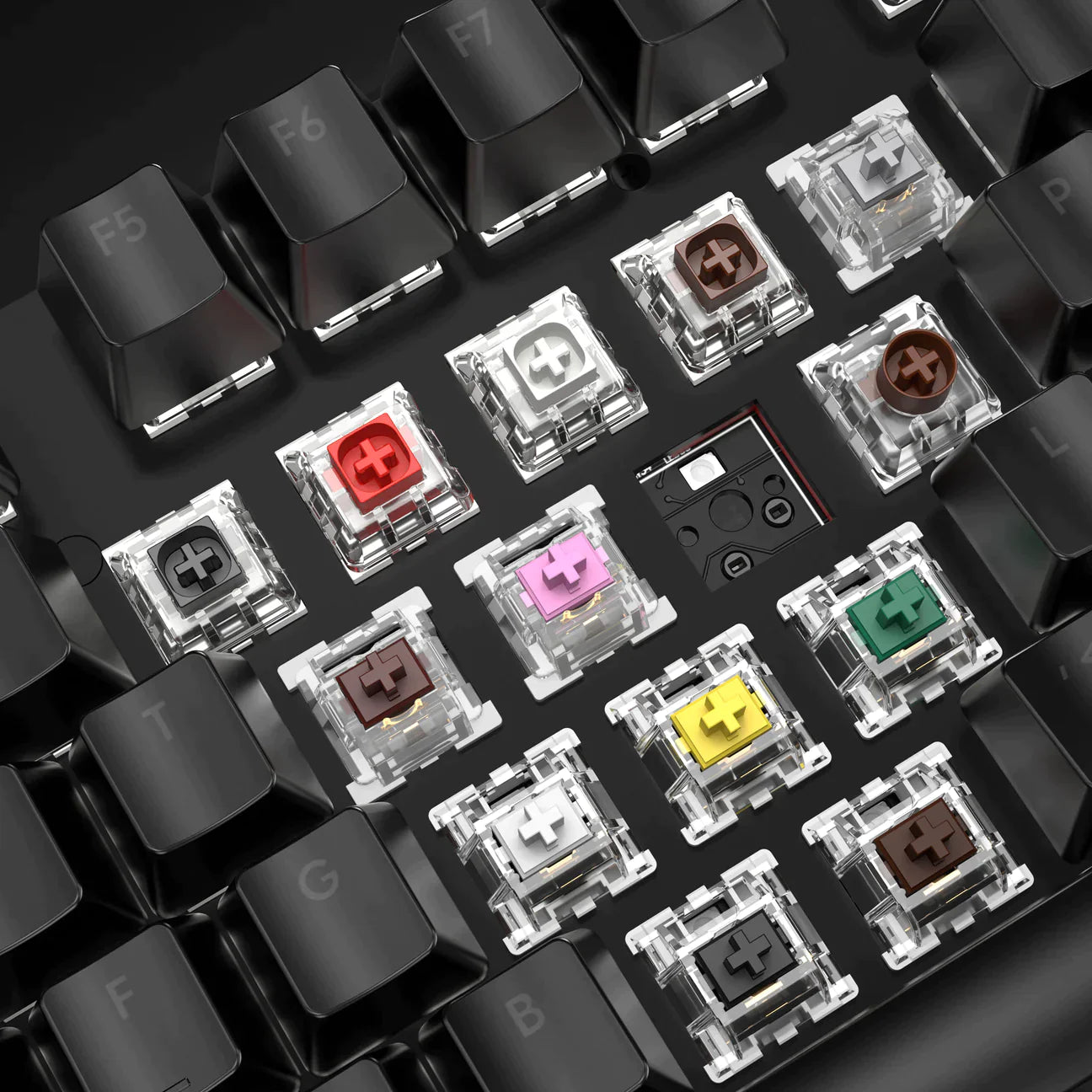 Switches – Pulsar Gaming Gears EU